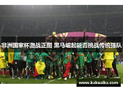 非洲国家杯激战正酣 黑马崛起能否挑战传统强队 非洲国家杯激战正酣 黑马崛起能否挑战传统强队